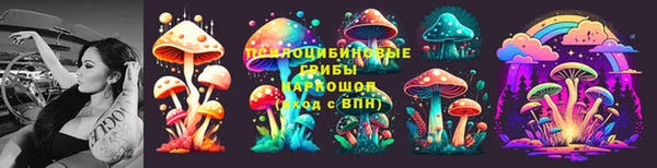 ALPHA-PVP Бикин